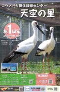 コウノトリ野生復帰センター「天空の里」臨時休館中